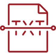 Electronic Record Conversion